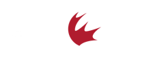 Canadian Collegiate Athletic Association